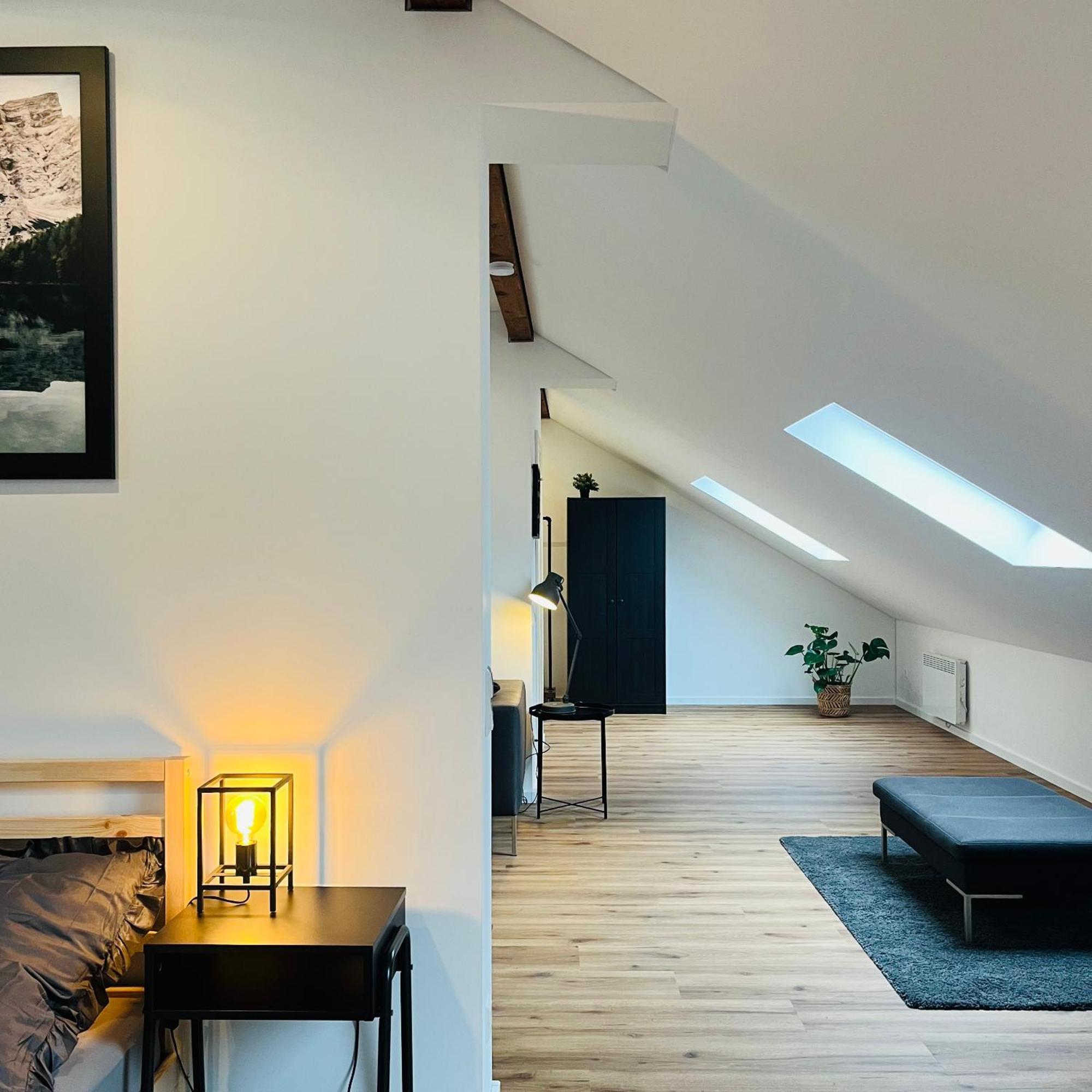 City Loft Apartment Bad Saeckingen Екстер'єр фото